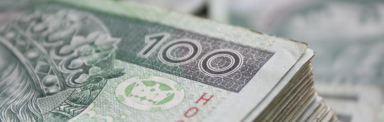 Pożyczka online - najłatwiejszy sposób na podreperowanie budżetu